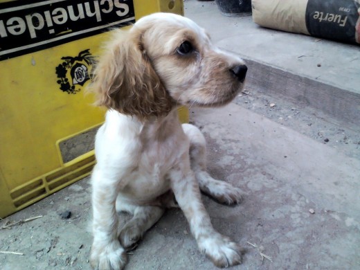 Posando para la foto